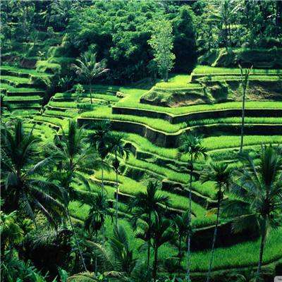 火狐体育APP下载手机版截图